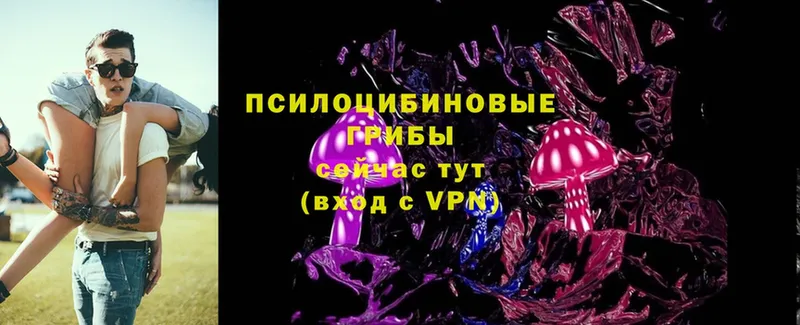 Псилоцибиновые грибы MAGIC MUSHROOMS  Альметьевск 